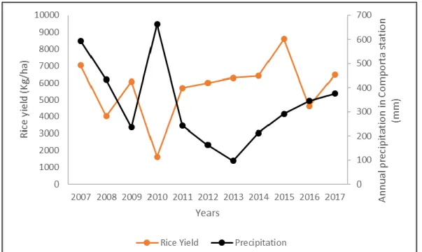 Figura 8. Produtividade de arroz no canteiro Portocarro, bacia do Sado, no período compreendido de 2007 a  2017, e distribuição da precipitação média anual na estação meteorológica da Comporta