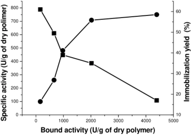 Fig. 1. Dependence of immobilization yield ( ■ ) and specific activity  of immobilized enzyme ( ● ) on bound activity 