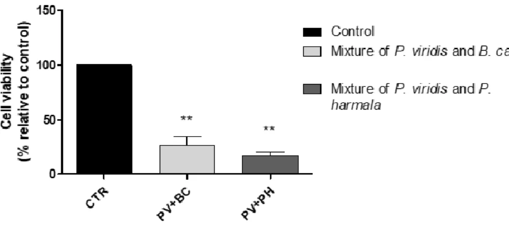 Figure 6 - The effects of tea plant extracts mixtures on N27 cell viability (n=3). Concentrations used were  5  µM  and  50  µM;  the  presented  values  are  presented  as  mean  ±  SEM