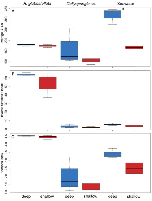 Figure 5 Alpha diversity comparisons between habitats. Number of (A) average 97%-OTUs and al- al-pha diversity estimates, (B) inverse Simpson’s and (C) Shannon index for shallow reef slopes and deep reef drop-off R
