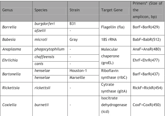 Table 1- Identification of the species gathered for this study, the target gene for each species  and the size of the amplicon obtained in PCR