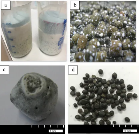 Fig. 5. PCM-LWA (a) Sikalatex immersion process (b) coated using Sikalatex drying on net (c) separated after coating using Sikalatex (d) coated using Sikaltex after drying in the drum.