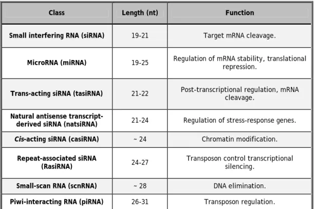 Table 1: Classes of small RNAs (adapted from [4]) 