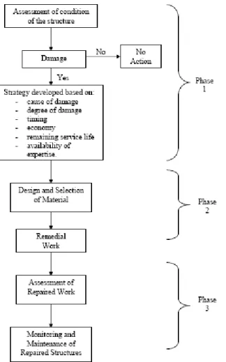 Fig. 3: Corrosion management program 