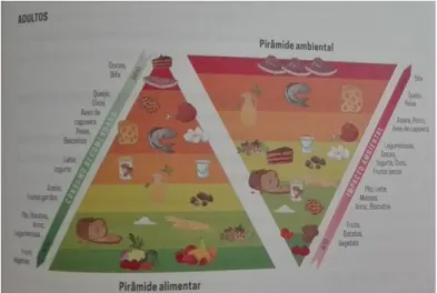 Figura 5: Pirâmide Alimentar versus Pirâmide Ambiental para Crianças 