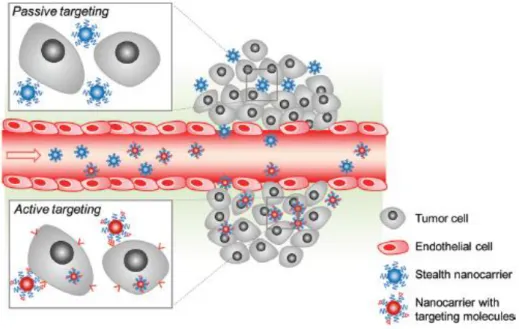 Figure 10.  Nanocarrier targeting to tumors cells. The nanocarrier systems can reach the tumor  by  different  targeting  mechanisms:  passive  targeting  and  active  targeting