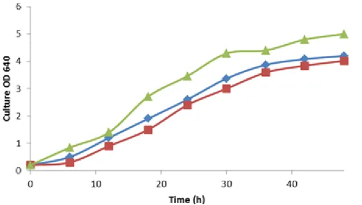 Figure 9 represents the fermentation progress of the three procedures. As it can be seen, the  OD measure in the first 6 h was higher for procedure 3