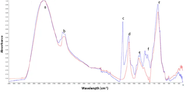 Figure 11 - FTIR spectrum of commercial high acyl gellan gum (blue line), and low acyl gellan gum (red line) with  characteristic peaks
