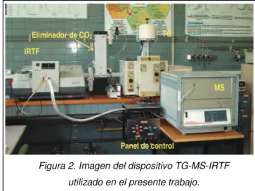 Figura 2. Imagen del dispositivo TG-MS-IRTF  utilizado en el presente trabajo. 
