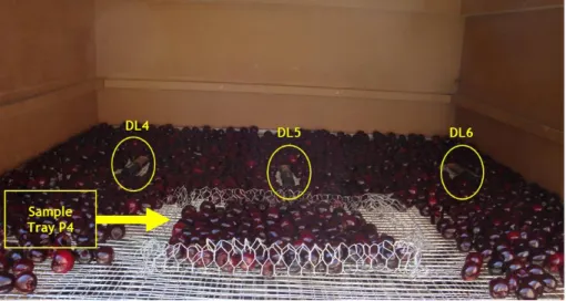 Figure 2 – Disposition of data-loggers DL4, DL5, DL6 on tray located on position P4 and sample made of malleable  aluminum mesh 