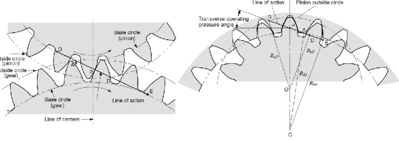 Figure 2.14. Meshing between external spur gear (left) and internal spur gear (right) with its  pinion