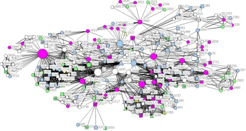 Figure 1. Biotechnology network 1995–2003 (FP4, FP5) (N = 228).