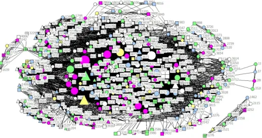 Figure 9. Software network 2007–2016 (FP7, H2020) (N=488).