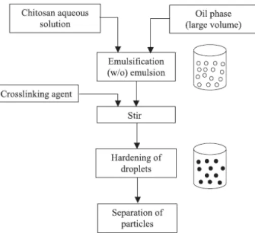 Figure 2.1 – Schematic representation of preparation of chitosan particle systems by  emulsion cross-linking method (Agnihotri et al., 2004)