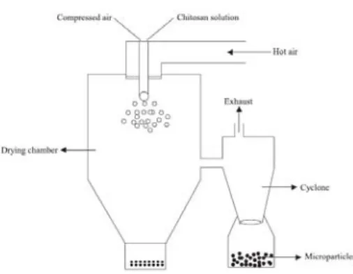 Figure 2.3 – Schematic representation of preparation of chitosan particle systems by spray  drying method (Agnihotri et al., 2004)