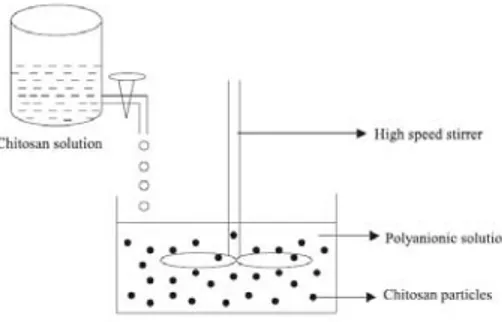 Figure 2.5 – Schematic representation of preparation of chitosan particle systems by ionic  gelation method (Agnihotri et al., 2004)