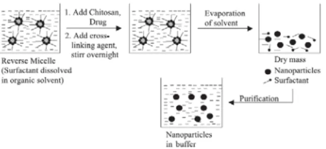 Figure 2.6 – Schematic representation of preparation of chitosan particle systems by reverse  micellar method (Agnihotri et al., 2004)