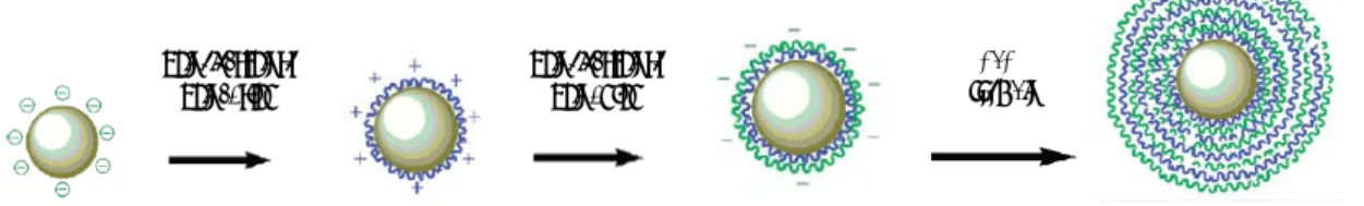 Figure 2.9 – Schematic representation of microspheres prepared by the LbL method (Layer- (Layer-By-Layer) (adapted de Liu et al., 2010)