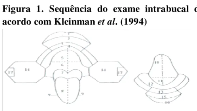 Figura  1.  Sequência  do  exame  intrabucal  de  acordo com Kleinman  et al . (1994) 