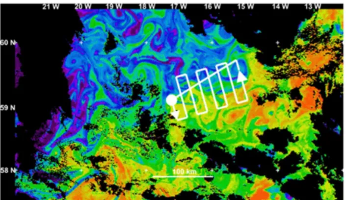 Fig. 1. This example shows chlorophyll concentration in a snapshot image of 11 June 2009 south of Iceland