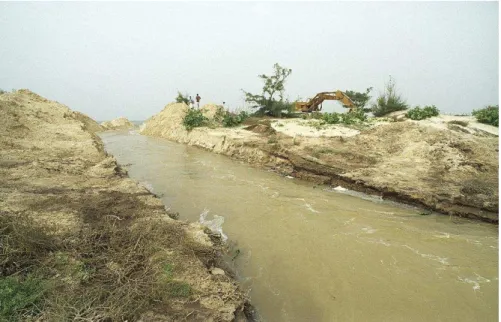 Fig. 2. October 2003: breaching Barbarie spit. Mechanical digger in the background, looking west