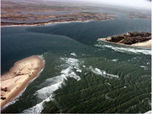 Fig. 3. Barbarie spit breach in 2005, looking southeast (Photo: M. Gerrer, handed over by N