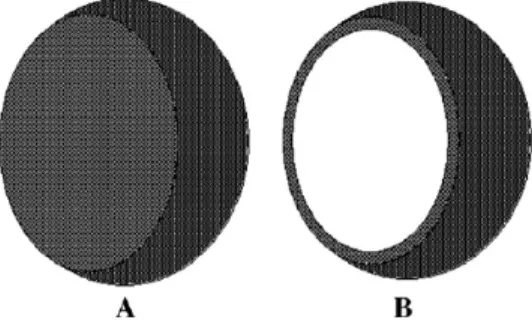 Figure 9 – Schematic representation of a nano- or micropshere (A) and a nano- or microcapsule (B)