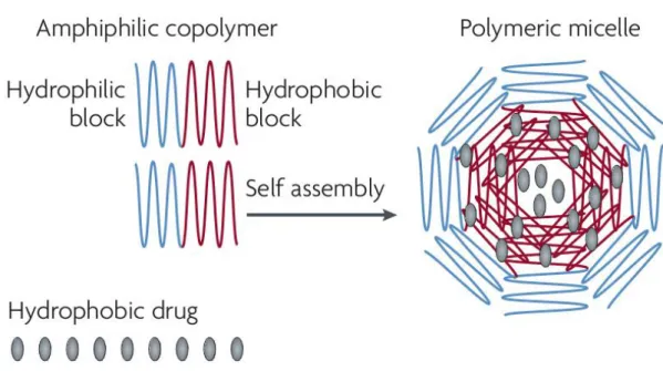 Figure 10 – Polymeric micelle structure composed with block co-polymers that self-assemble in water  solutions (Adapted from [68])