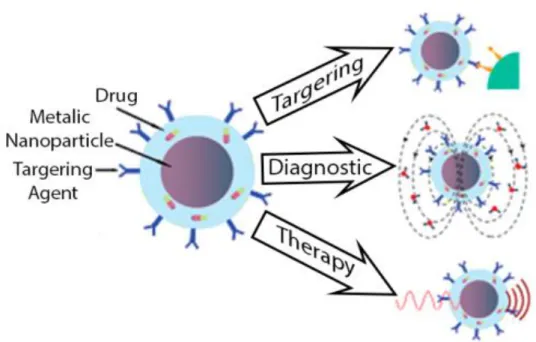Figure 3:  Biomedical applications of magnetic nanoparticles (adapted from (Umut, 2013))