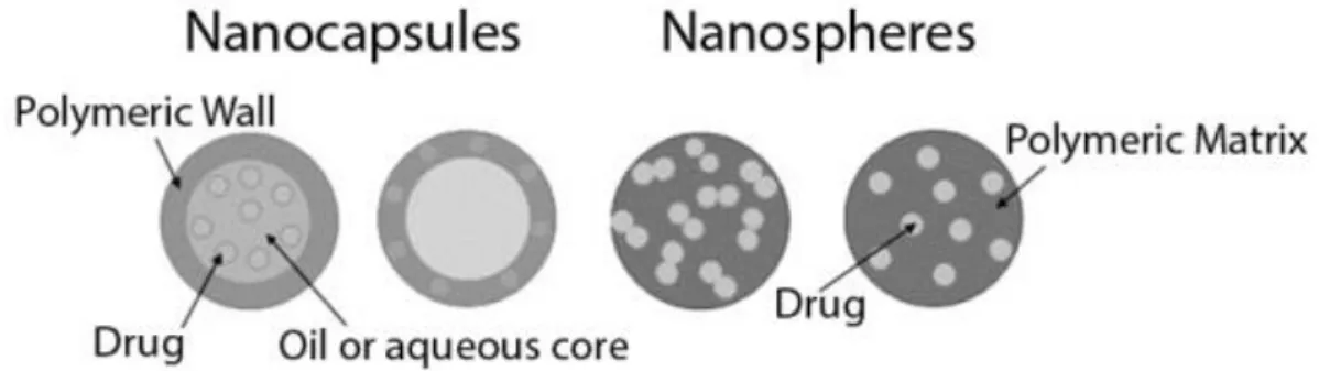 Figure  6:  Schematic  representation  of  polymeric  nanoparticles  (adapted  from  (Pinto  Reis  et  al., 2006b)) 