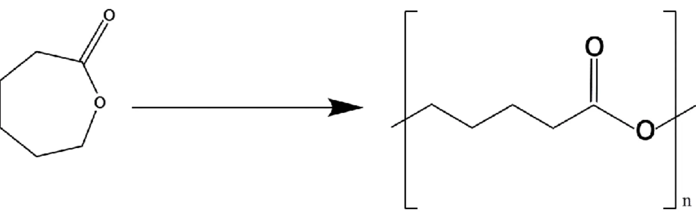 Figure  11:  Representation  of  ε-caprolactone  (left)  and  poly-ε-caprolactone  (right)  structure  (adapted from (Labet and Thielemans, 2009))