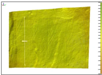 Figure 11. Close-range recording of Viking runic inscriptions  inside Maeshowe chambered tomb using a Perception  Scanworks v5 laser scanner © Crown Copyright 2010
