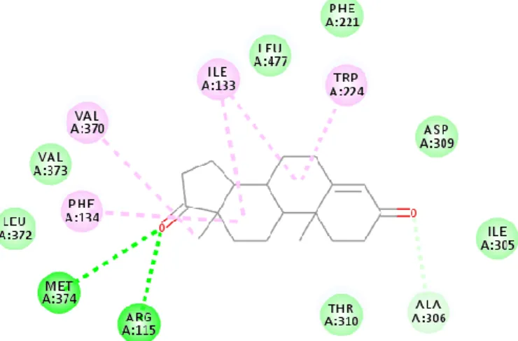 Figure  III.1.  Interactions  of  the  docked  conformation  of  the  ligand  within  the  enzyme  cavity