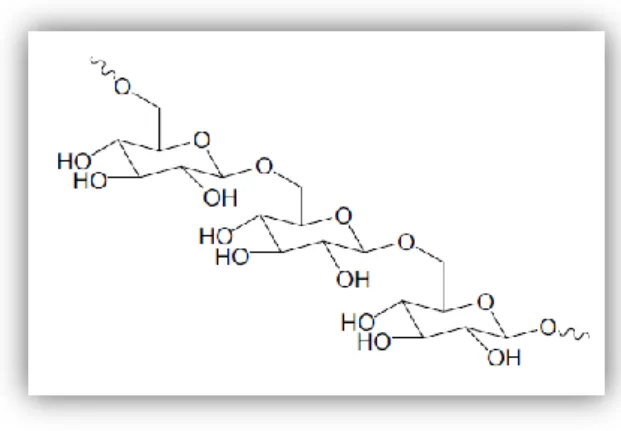 Figure 3 – Representation of the dextran chemical structure(Liu et al. 2009). 