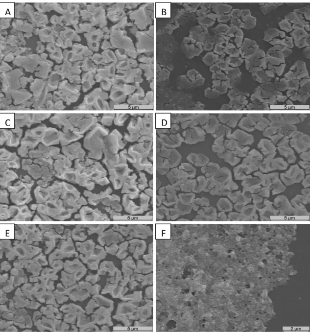 Figure 6 – SEM images of chitosan/dextran nanoparticles produced with low molecular weight chitosan and  with high and low molecular weight dextran respectively, using different proportions: 1:6 (v/v) ratio (A and  B); 1:3 (v/v) ratio (C and D); 2:3 (v/v) 