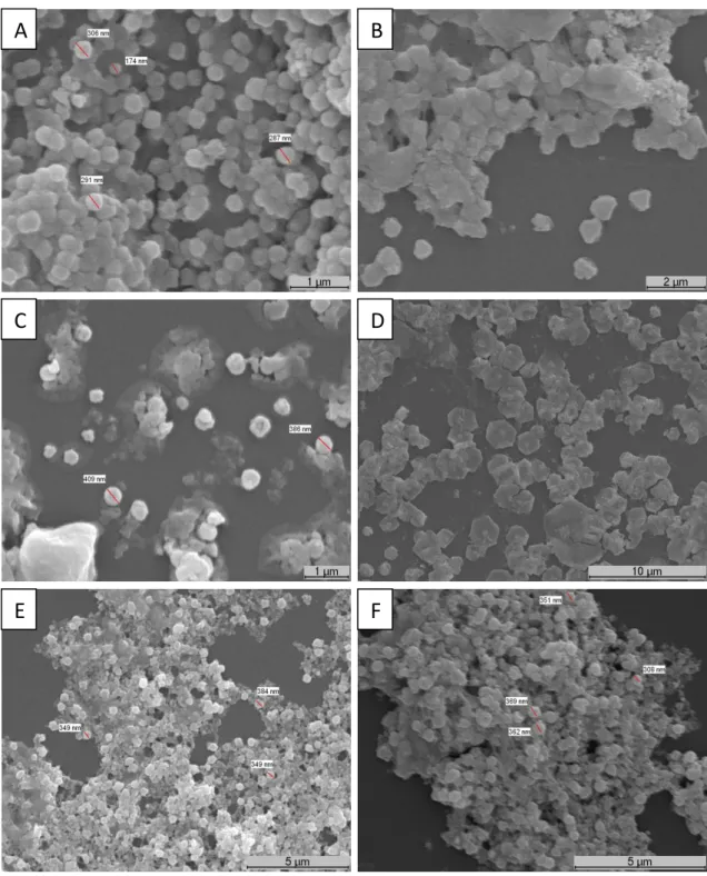 Figure  7  –  SEM  images  of  chitosan/dextran  nanoparticles  produced  with  high  molecular  weight  chitosan,  with high and low molecular weight dextran respectively, using different proportions:1:6 (v/v) ratio (A and  B); 1:3 (v/v) ratio (C and D); 