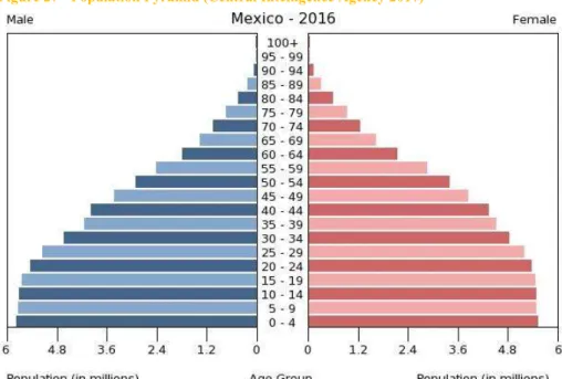 Figure 27 - Population Pyramid (Central Intelligence Agency 2017) 
