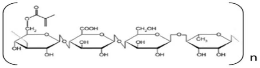 Figure  8  -  Representation  of  the  repeating  unit  of  chemical  structure  of  gellan  gum  methacrylate  adapted from [103]