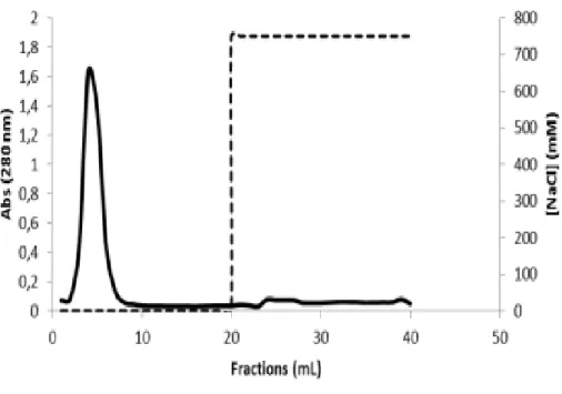 Figure  9  -  Chromatographic  profile  obtained  for  BSA.  The  first  step  was  performed  with  10  mM  MES  buffer  pH  6.2  and  the  second  step  was  performed with  750  mM  NaCl  in  50  mM  ZnSO 4  and 10  mM  MES  buffer pH 6.2