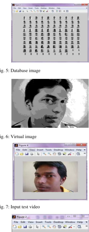 Fig. 6: Virtual image 