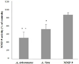 Figure  3.7 - Gelatinolitic  activities  of  MMP-9  after  exposure  to  ethanol  extracts  of  several  Aloe  species
