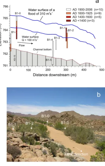 Fig. 6. Rooifontein study reach: (a) longitudinal profile of the stream channel bed and water surface profiles obtained from  HEC-RAS modelling for the highest palaeoflood deposits (310 m 3 s − 1 ) and for a reference discharge of 100 m 3 s −1 