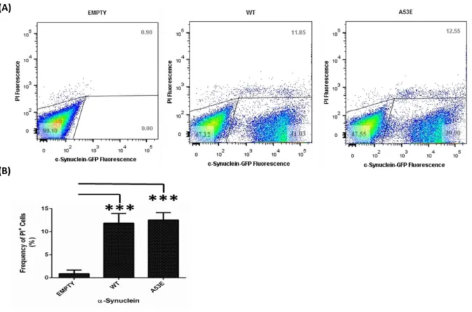 Figure  4.4.  Toxicity  assessment  of  the  A53E  αSyn  mutant  expression  for  yeast  cells
