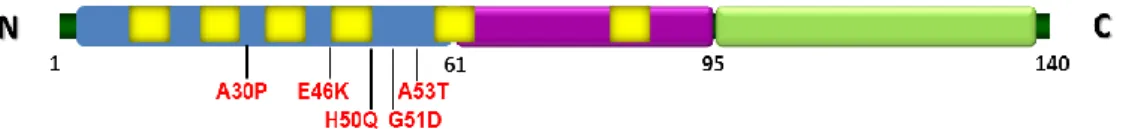 Figure  1.  Schematic  representation  of  aSyn  and  the  positions  of  genetic  mutations