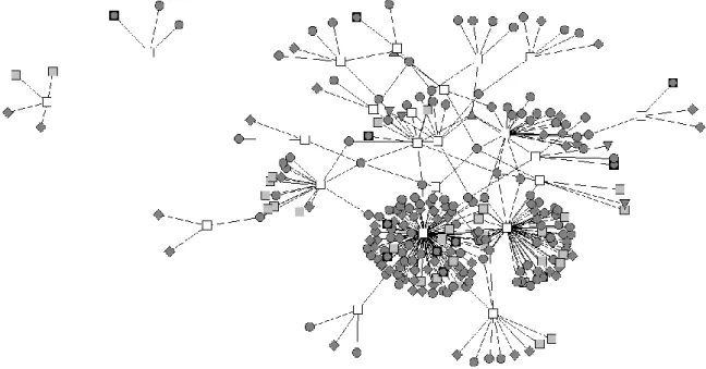 Figure 2 – Knowledge network of software firms 
