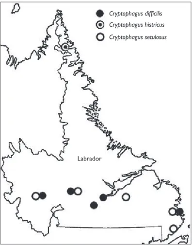 Figure 6. Distribution of Cryptophagus dii  cilis, C. histricus, and C. setulosus in Labrador.