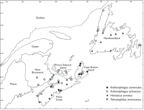 Figure 1. Distribution of Antherophagus convexulus, Antherophagus ochraceus, Henoticus serratus, and Tel- Tel-matophilus americanus in Atlantic Canada.