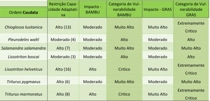 Tabela IV – Valores de Impacto Climático (obtidos a partir de Araújo, 2012), de Restrição da Capacidade Adapta- Adapta-tiva e consequentes categorias de Vulnerabilidade das espécies de Anfíbios, em dois cenários climáticos e no 