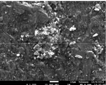 Fig.  11.   SEM  photomicrograph  showing  secondary  electron image of the corroded surface of the Al‐Mg‐