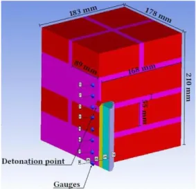 Fig. 5. The geometrical model for wall and explosive device